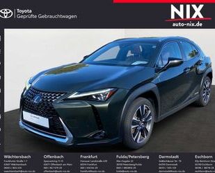Lexus UX Gebrauchtwagen