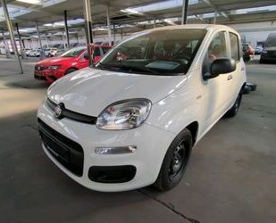 Fiat Panda Gebrauchtwagen