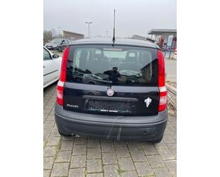 Fiat Panda Gebrauchtwagen