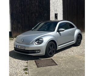 VW Beetle Gebrauchtwagen