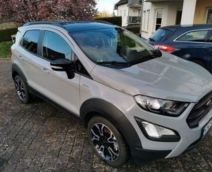 Ford EcoSport Gebrauchtwagen