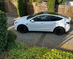 Tesla Model Y Gebrauchtwagen