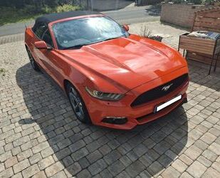 Ford Mustang Gebrauchtwagen