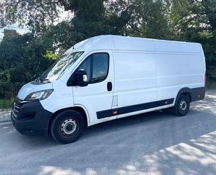Fiat Ducato Gebrauchtwagen