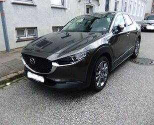 Mazda CX-30 Gebrauchtwagen