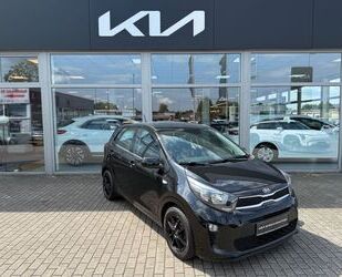 Kia Picanto Gebrauchtwagen