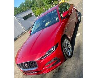Jaguar XE Gebrauchtwagen