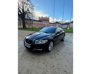 Jaguar XF Gebrauchtwagen
