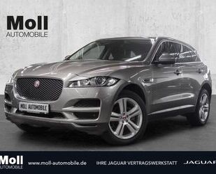 Jaguar F-Pace Gebrauchtwagen