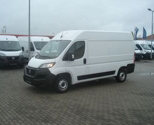 Fiat Ducato Gebrauchtwagen