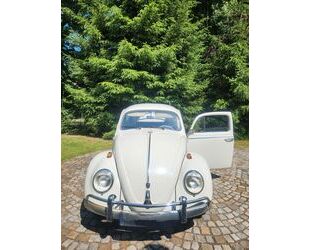 VW Käfer Gebrauchtwagen