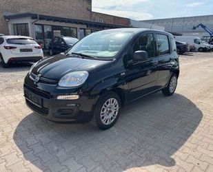 Fiat Panda Gebrauchtwagen
