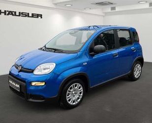 Fiat Panda Gebrauchtwagen
