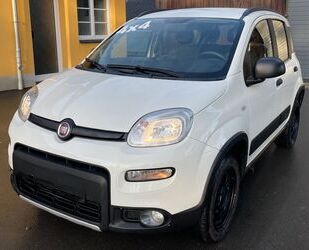 Fiat Panda Gebrauchtwagen
