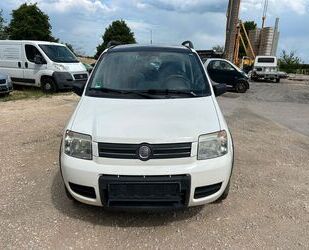 Fiat Panda Gebrauchtwagen