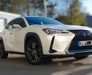 Lexus UX Gebrauchtwagen