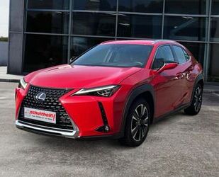 Lexus UX Gebrauchtwagen