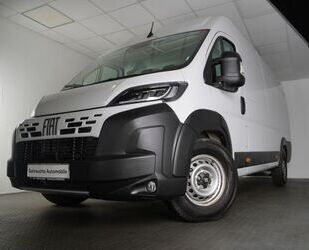 Fiat Ducato Gebrauchtwagen