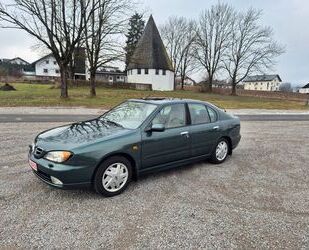 Nissan Primera Gebrauchtwagen