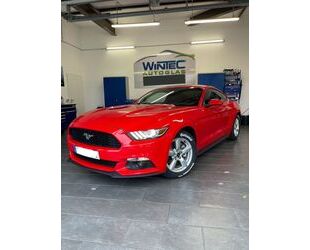 Ford Mustang Gebrauchtwagen