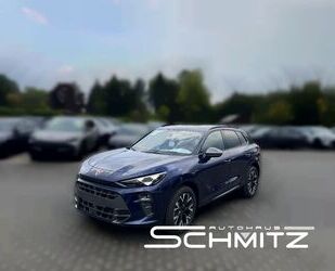 Cupra Terramar Gebrauchtwagen