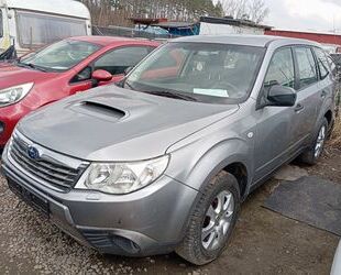 Subaru Forester Gebrauchtwagen