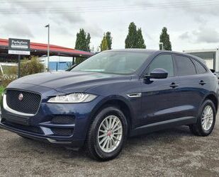 Jaguar F-Pace Gebrauchtwagen
