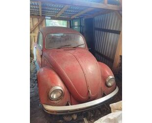 VW Käfer Gebrauchtwagen