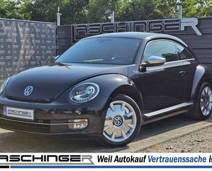 VW Beetle Gebrauchtwagen