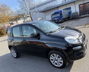 Fiat Panda Gebrauchtwagen