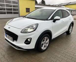 Ford Puma Gebrauchtwagen