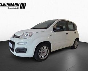 Fiat Panda Gebrauchtwagen