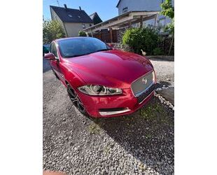 Jaguar XF Gebrauchtwagen