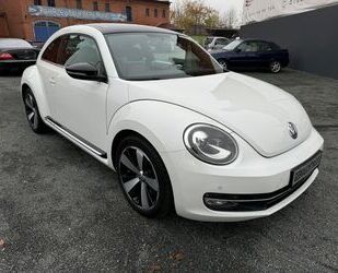 VW Beetle Gebrauchtwagen
