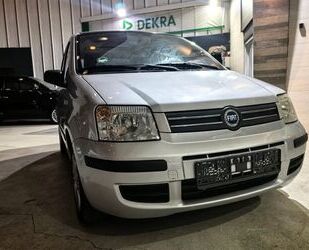 Fiat Panda Gebrauchtwagen