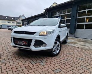 Ford Kuga Gebrauchtwagen