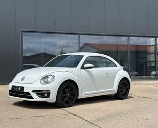 VW Beetle Gebrauchtwagen