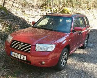 Subaru Forester Gebrauchtwagen