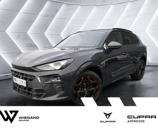 Cupra Terramar Gebrauchtwagen