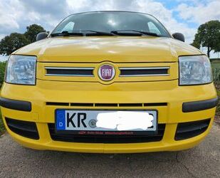 Fiat Panda Gebrauchtwagen