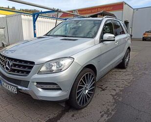 Mercedes-Benz ML 250 Gebrauchtwagen