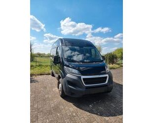 Peugeot Boxer Gebrauchtwagen