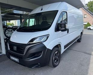 Fiat Ducato Gebrauchtwagen