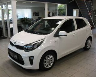 Kia Picanto Gebrauchtwagen