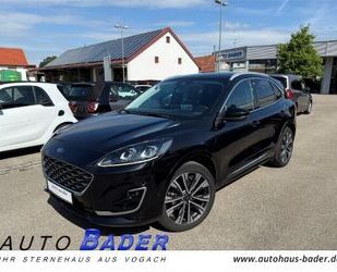 Ford Kuga Gebrauchtwagen