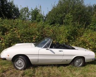 Alfa Romeo Spider Gebrauchtwagen