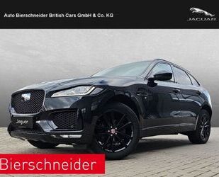 Jaguar F-Pace Gebrauchtwagen