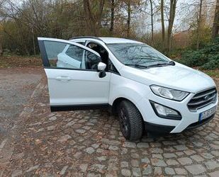 Ford EcoSport Gebrauchtwagen