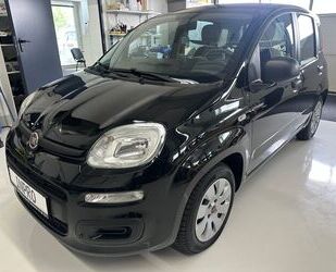 Fiat Panda Gebrauchtwagen