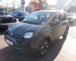 Fiat Panda Gebrauchtwagen